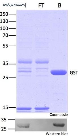 ChromoTek GmbH sta-20 image 1