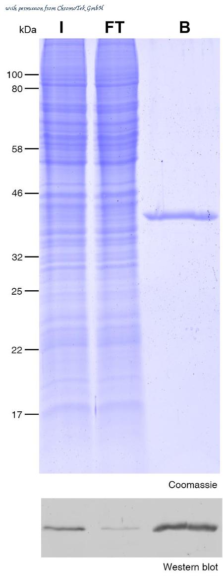 ChromoTek GmbH ota-20 image 1