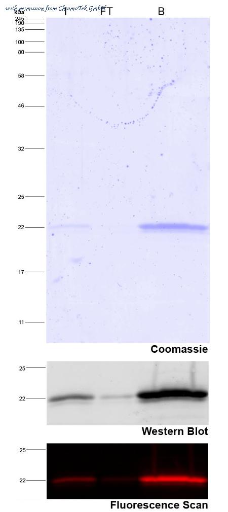 ChromoTek GmbH wta-20 image 1