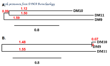 DIMA Biotechnology DME100010 image 3