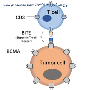 DIMA Biotechnology DMB100008 image 1