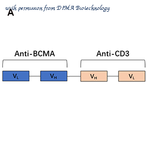 DIMA Biotechnology DMB100009 image 2