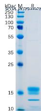 DIMA Biotechnology PME100478 image 1