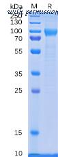 DIMA Biotechnology PME100083 image 1