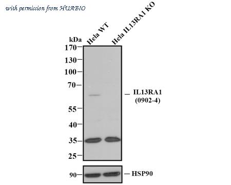 HUABIO 0902-4 image 1