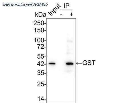 HUABIO 1003-8 image 1