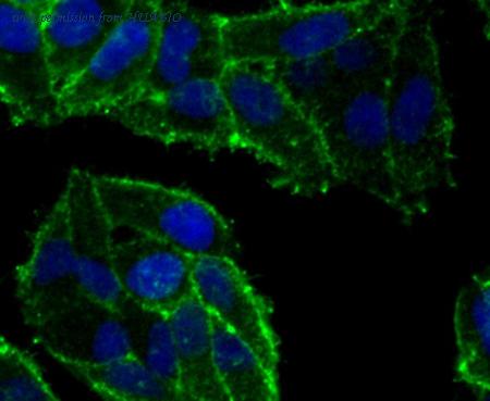 HUABIO EM1701-24 image 3