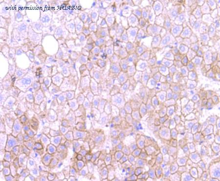 HUABIO EM1701-29 image 2