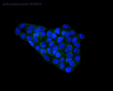 HUABIO EM1701-29 image 3