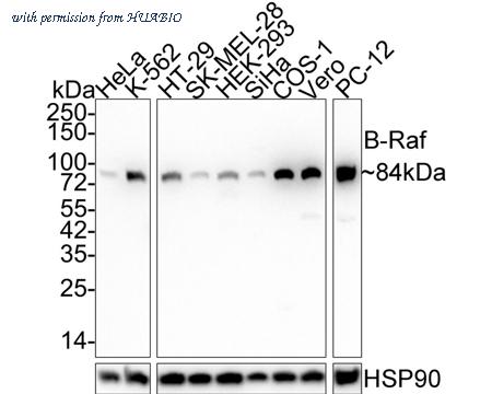 HUABIO EM1701-32 image 1