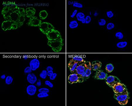 HUABIO EM1701-74 image 2