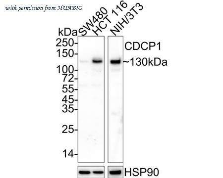 HUABIO EM1701-84 image 1