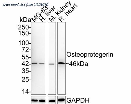 HUABIO EM1701-98 image 1