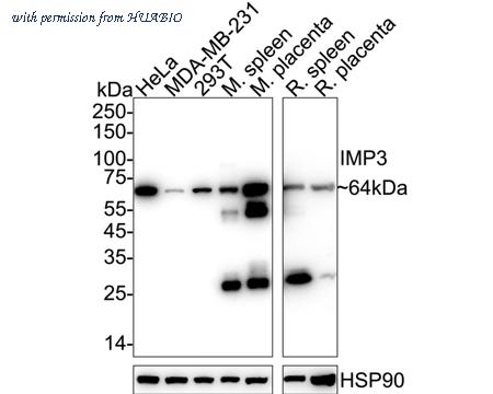 HUABIO EM1801-01 image 1
