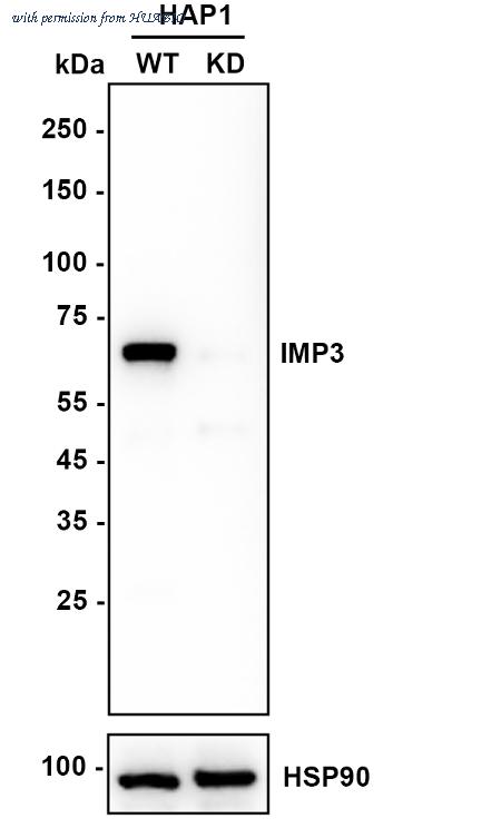 HUABIO EM1801-01 image 2