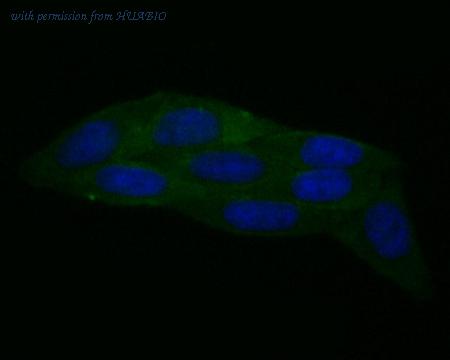 HUABIO EM1801-03 image 1