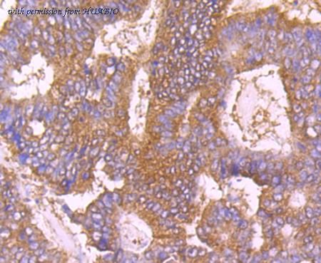 HUABIO EM1801-03 image 2