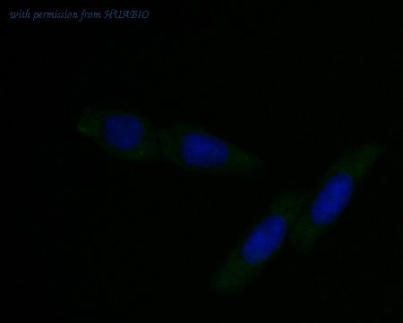 HUABIO EM1901-48 image 2