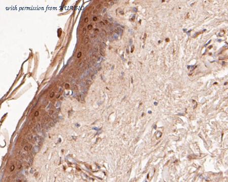 HUABIO EM1901-48 image 3