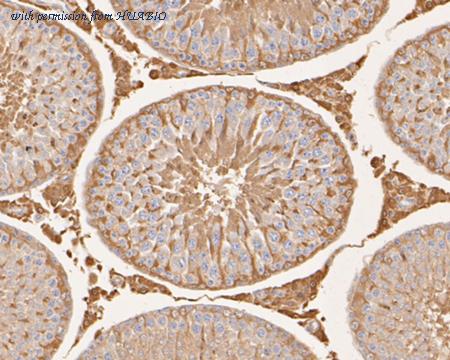 HUABIO EM1901-50 image 3