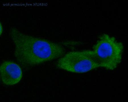 HUABIO EM1901-59 image 2