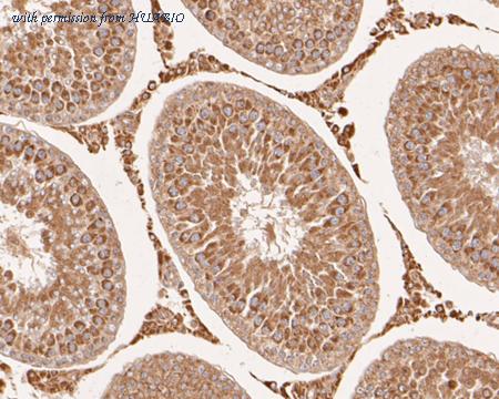 HUABIO EM1901-60 image 2