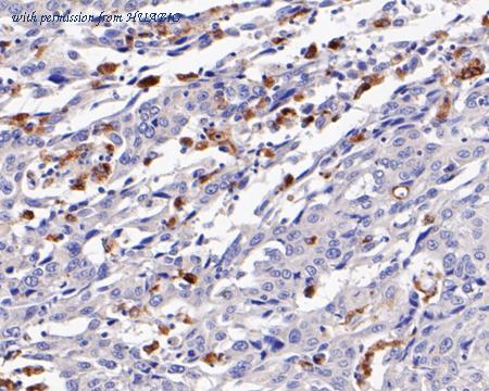 HUABIO EM1901-94 image 3