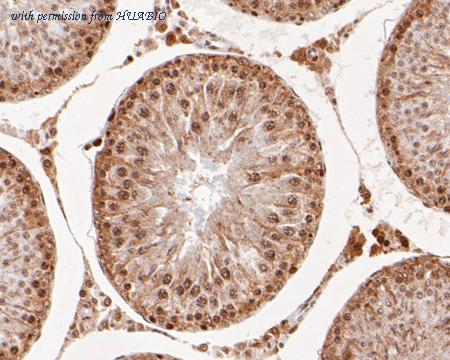 HUABIO EM1902-05 image 2