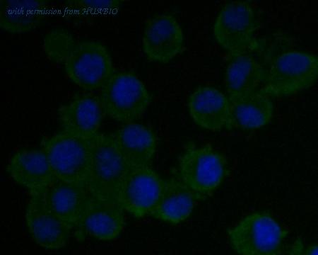 HUABIO EM1902-07 image 3