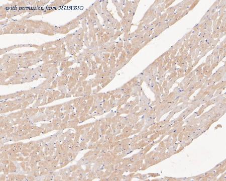 HUABIO EM1902-27 image 3