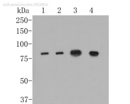 HUABIO EM1902-30 image 1
