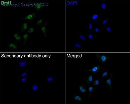 HUABIO EM20602 image 3