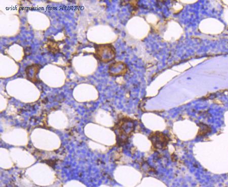 HUABIO ER1601-4 image 2