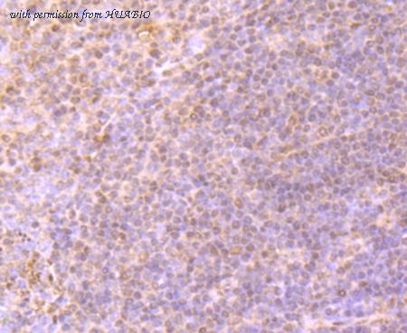 HUABIO ER1601-4 image 3