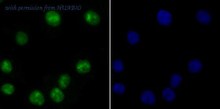 HUABIO ER1706-23 image 1