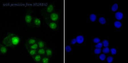 HUABIO ER1706-23 image 3