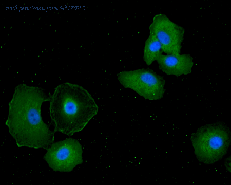 HUABIO ER1706-44 image 1