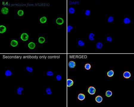 HUABIO ER1706-55 image 2