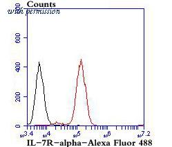 HUABIO ER1706-68 image 3