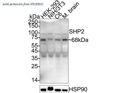 HUABIO ER1706-93 image 1