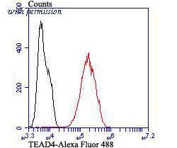 HUABIO ER1706-98 image 2