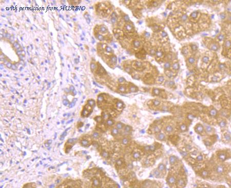 HUABIO ER1802-27 image 2