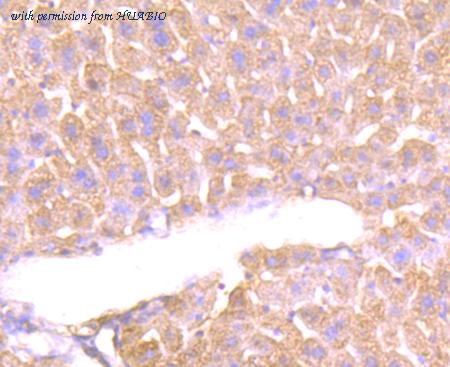 HUABIO ER1802-27 image 3