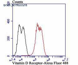 HUABIO ER1802-40 image 2