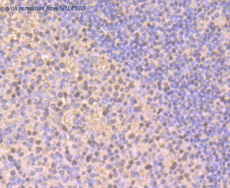 HUABIO ER1802-53 image 3