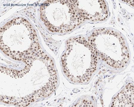 HUABIO ER1802-55 image 2