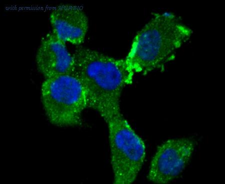 HUABIO ER1802-7 image 2