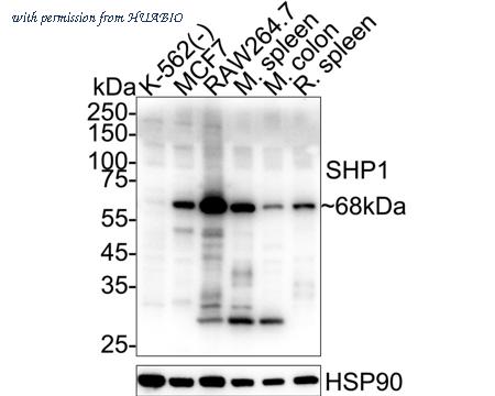 HUABIO ER1802-74 image 1