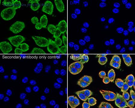 HUABIO ER1802-74 image 2