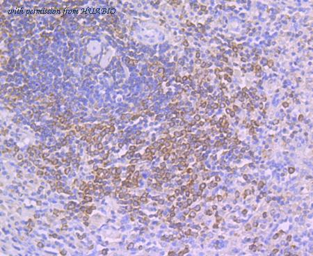 HUABIO ER1802-74 image 3